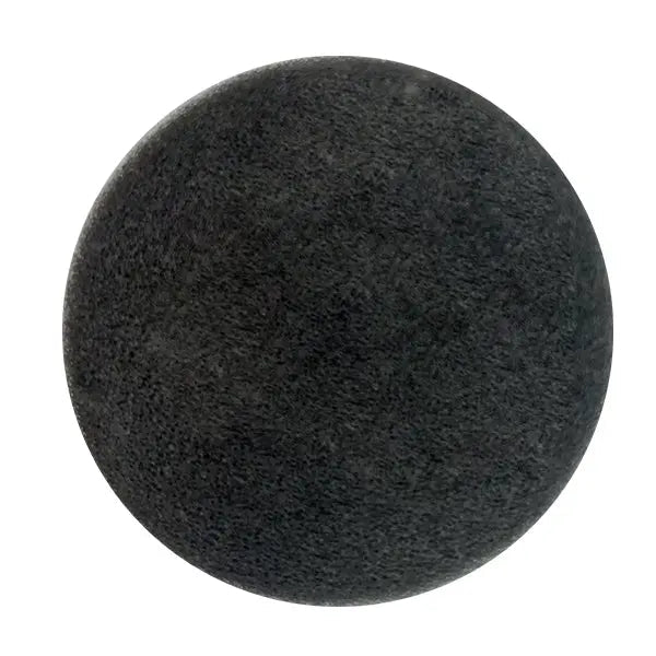 Proscenic P12/P13-Sponge Filter Proscenic